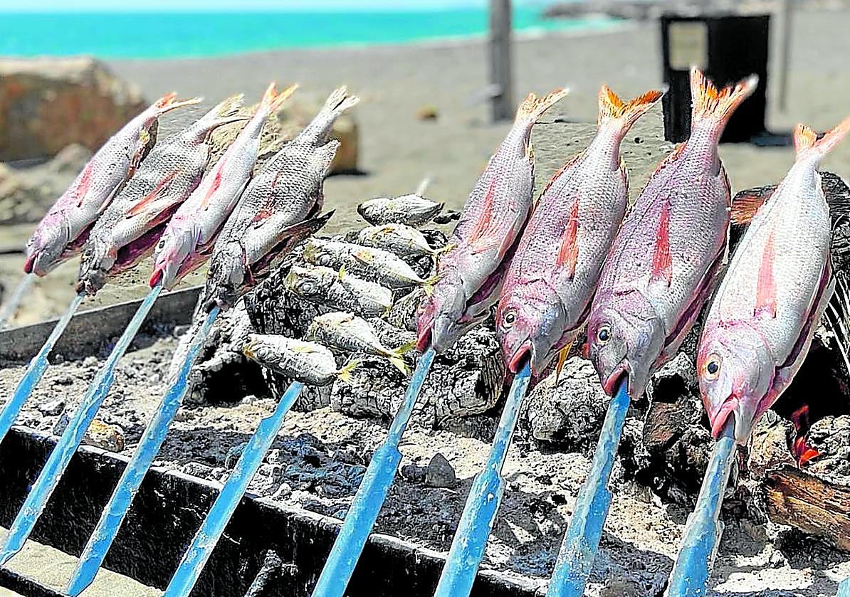 Skewers aren't just for sardines: Chiringuitos on the Costa del Sol that  also grill other types of fish |