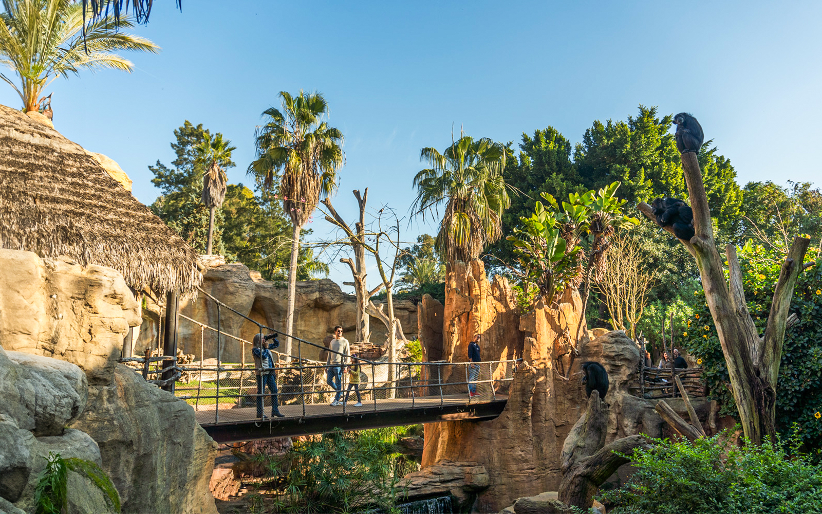 Plan Your Visit to Bioparc Fuengirola: Essential Tips