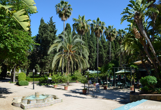 Parque de la Constitución—a beautifully landscaped park featuring a working amphitheatre