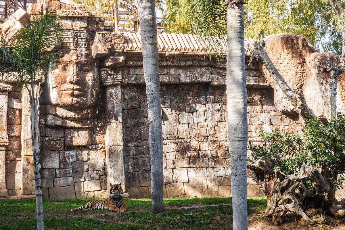 Bioparc Fuengirola - All You SHOULD Know Before Going 2026 (with Reviews)